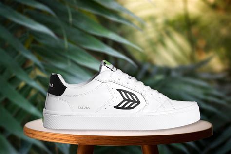 cariuma sneakers review